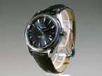 OOMEGA SEAMASTER AQUA TERRA 150 M CO-AXIAL MASTER CHRONOMETER 41,5 mm, 231.13.42.21.03.001