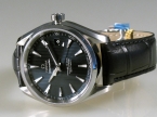 OOMEGA SEAMASTER AQUA TERRA 150 M CO-AXIAL MASTER CHRONOMETER 41,5 mm, 231.13.42.21.03.001